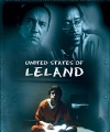 2003_-_United_States_of_Leland_-_Poster_-_French_Dvd.jpg