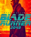 BR_2049_-_Official_Posters_-_Character_-_Officer_K.jpg